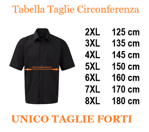Camicie ascot sales sport 3xl